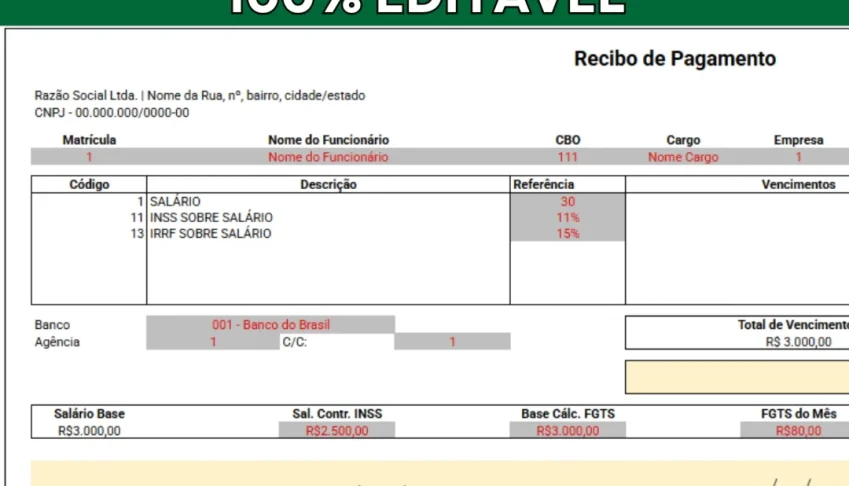 Modelo Holerite Contracheque Editável em Excel