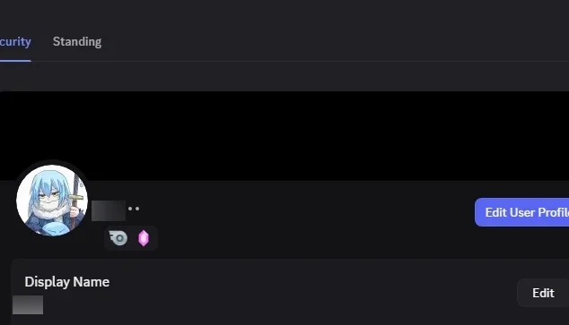Conta Discord Boost Up Level 3