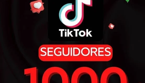 Seguidores Tiktok