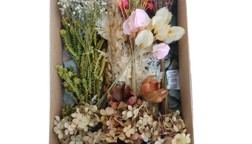 Caixa com Flores e Folhagens Desidratadas com 11 espécies