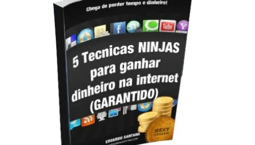 5 Técnicas Ninjas para ganhar dinheiro na internet GARANTIDO