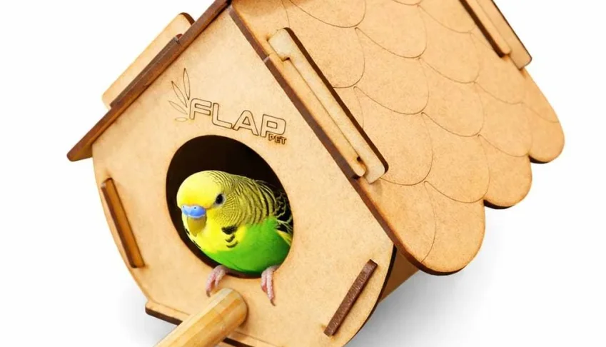 Casinha para Pássaros - Flap Pet
