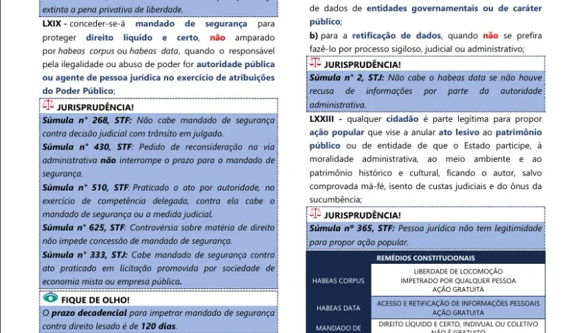 Ebook Vade Mecum Esquematizado