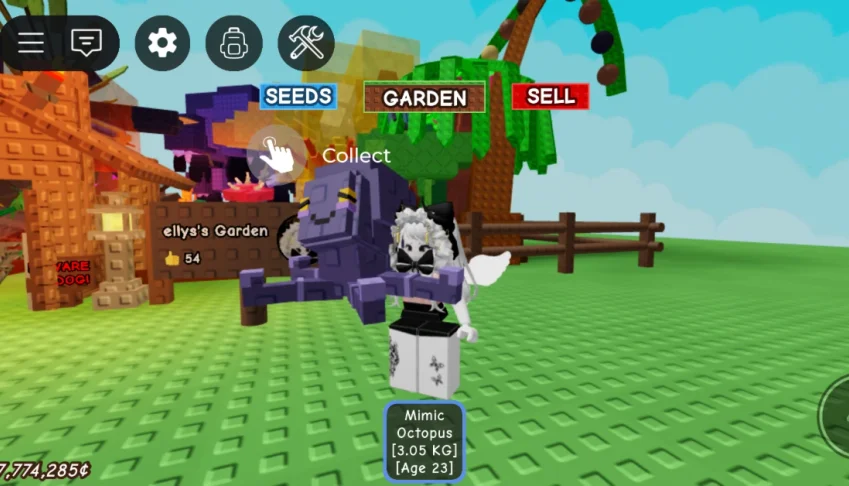 Frutas e pets grow a garden