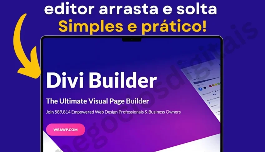 Plugin Wordpress Divi Builder