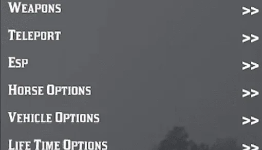 Menu RDR 2 Barato - Fikit RDR2 Mod Menu