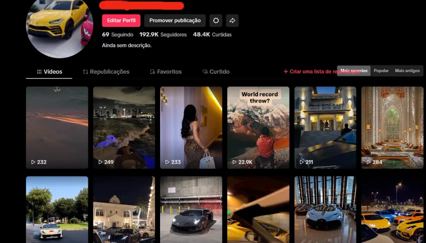 🔥 Conta Tiktok Premium Com 193K Seguidores BR Reais 🔥