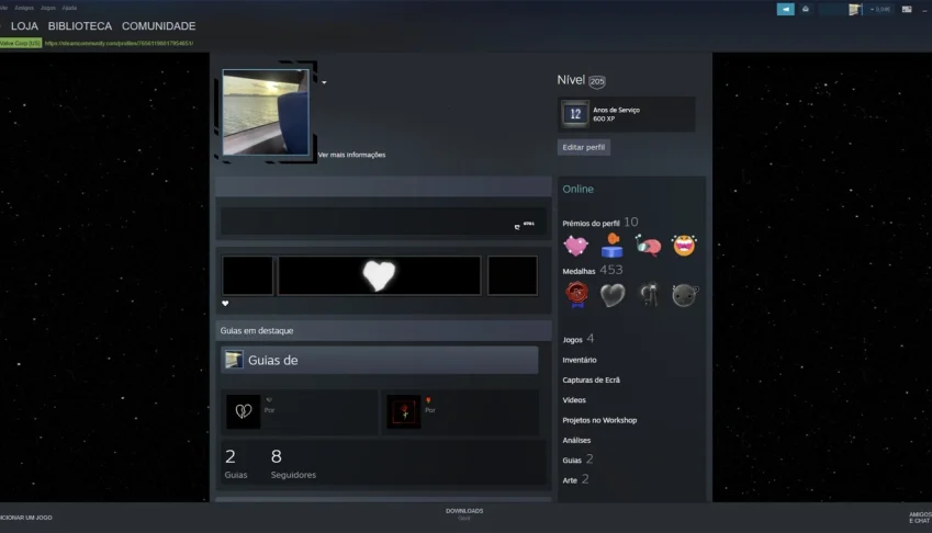 CONTA STEAM ~ NIVEL 205 \\ 12 ANOS DE SERVIÇO