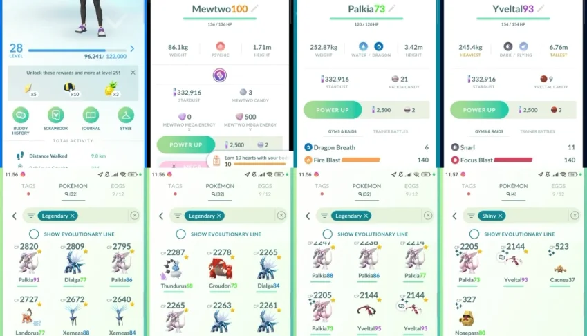 Pokémon Go LVL 28 | Mewtwo 100% BG | Palkia e Yveltal shiny