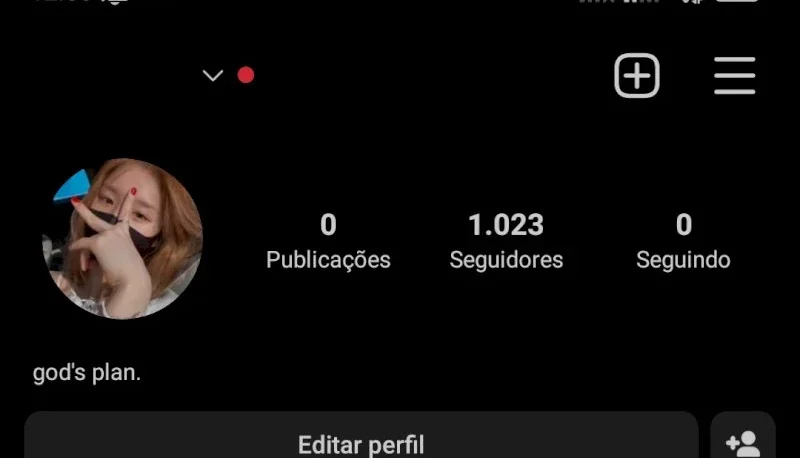 🔥Promoção!! Contas Com 1K+ De Seguidores🔥