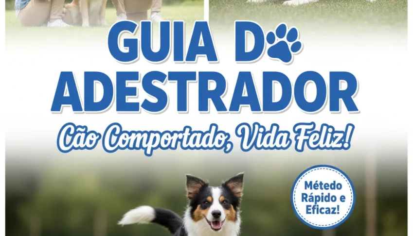 Como adestrar seu cachorro
