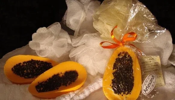 Fatia de Mamão Papaya