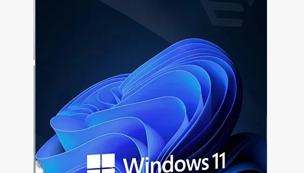Licença Windows 11 Professional