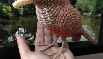 Amigurumi Sabiá
