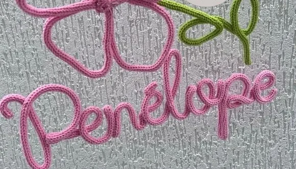Nome com Flor Peônia Personalizada em Tricotin