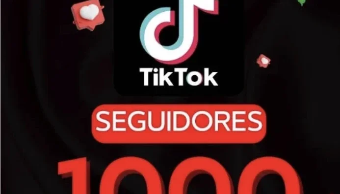 Seguidores tiktok