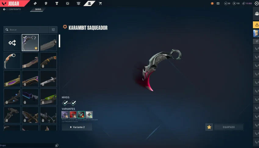 Conta Valorant Lvl 194, Karambit Saqueador, Vandal Sublime