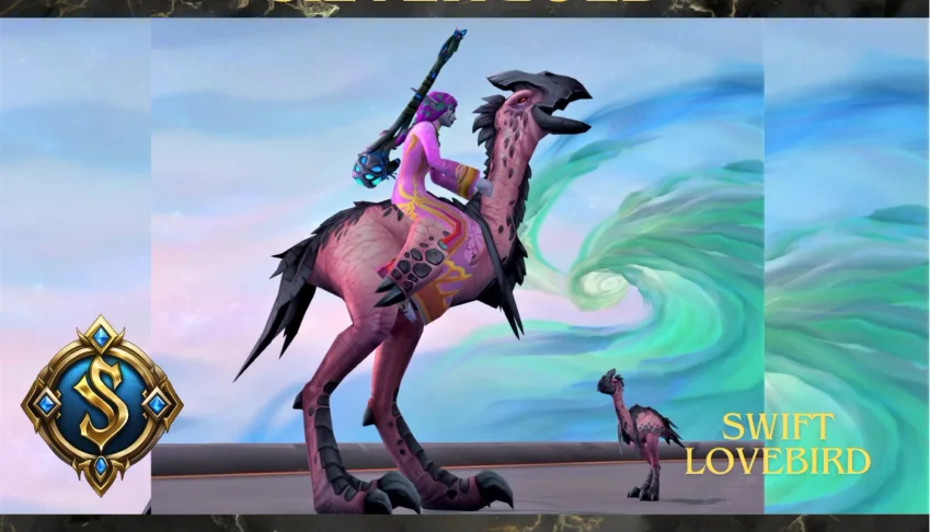 Montaria Moamor Veloz WOW
