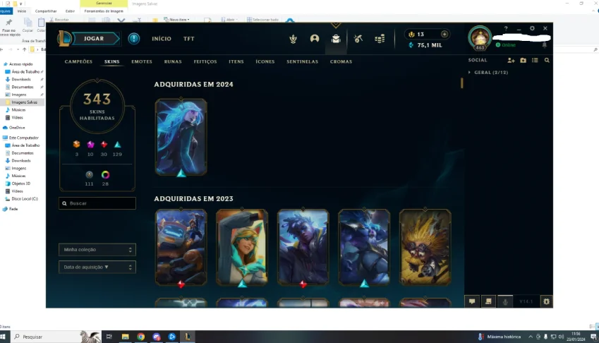 Conta De Lol Com 343 Skins-League Of Legends