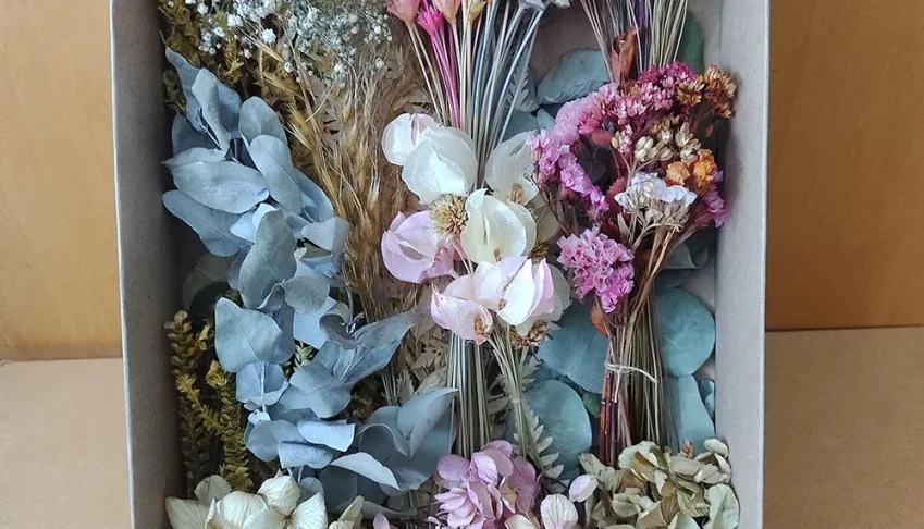 Caixa com flores desidratadas (12 especies)