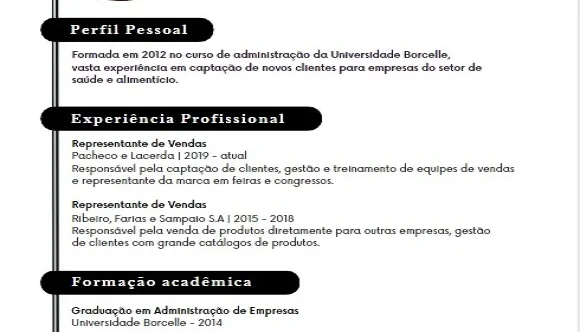 Currículo Profissional em PDF com ou sem Foto
