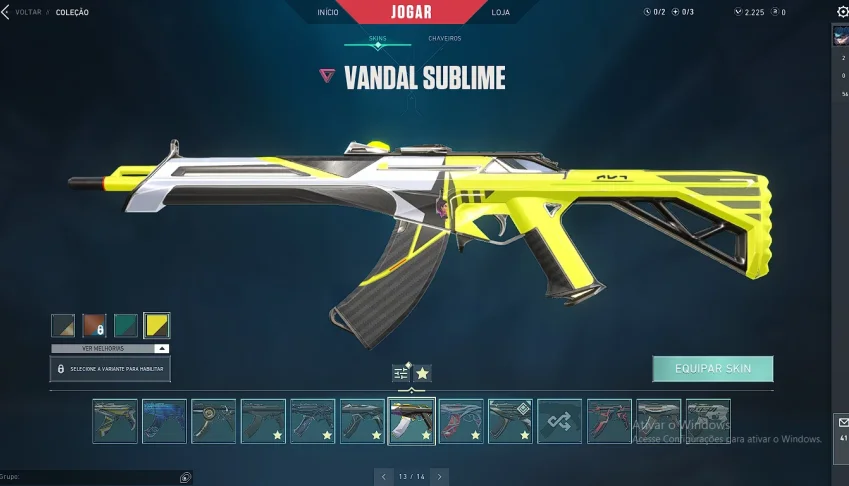 CONTA C/ SKIN DE TDS ARMAS (SUBLIME, SAQUEADOR, ONI, LEQUE)