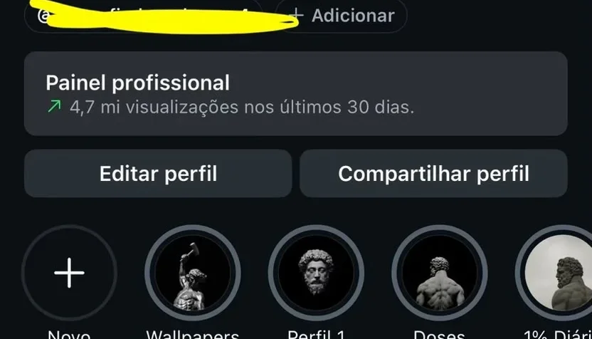 Conta instagram +300k seguidores