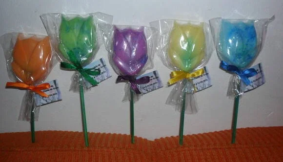 Tulipa no Palito