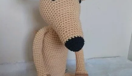 Cachorrinho Galgo Italiano