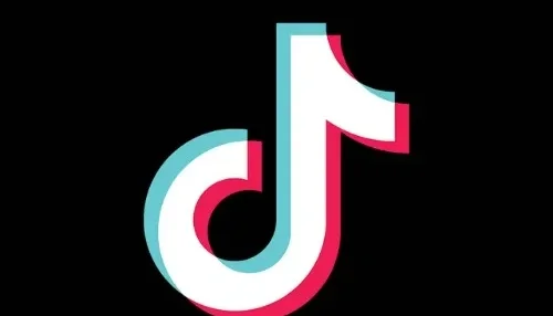 tiktok seguidores sem quedas