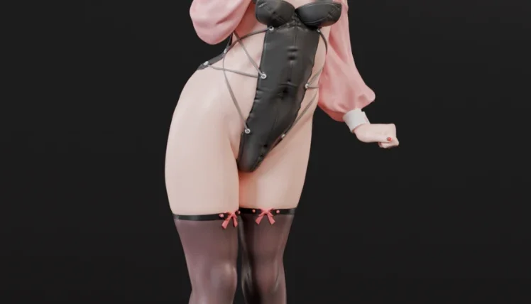 Siguru Bunny Girl 3D - Arquivo .Stl Para Impressão 3D