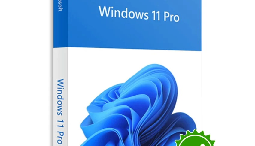 Windows 11 Pro