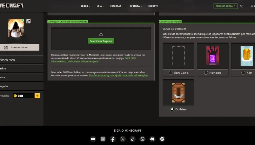 Conta Minecraft Full Acesso | + Capas | Java E Bedrock