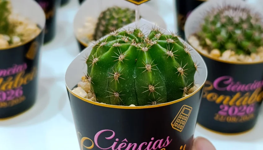 Lembrancinhas personalizadas com suculentas