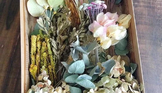 Caixa Botânica - 11 Espécies de Flores e Folhas Desidratadas