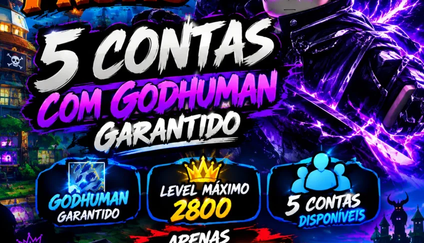 Promoção de hoje 5 contas de blox fruits por 25,63