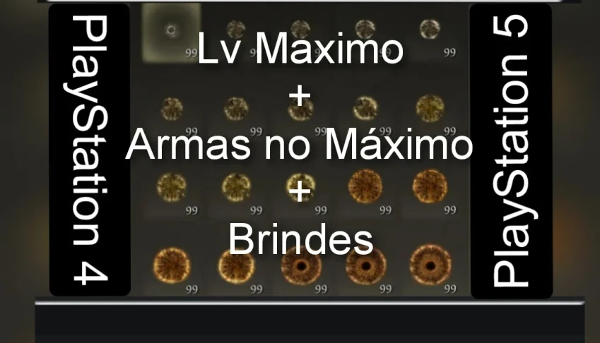Elden Ring - Runas Lv Maximo + Armas lv maximo+ brindes Ps4/
