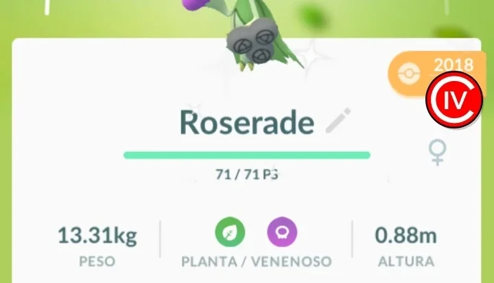 Roserade Brilhante