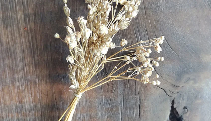 Mini Buquê para Convites com Gypsophila e Sorgo