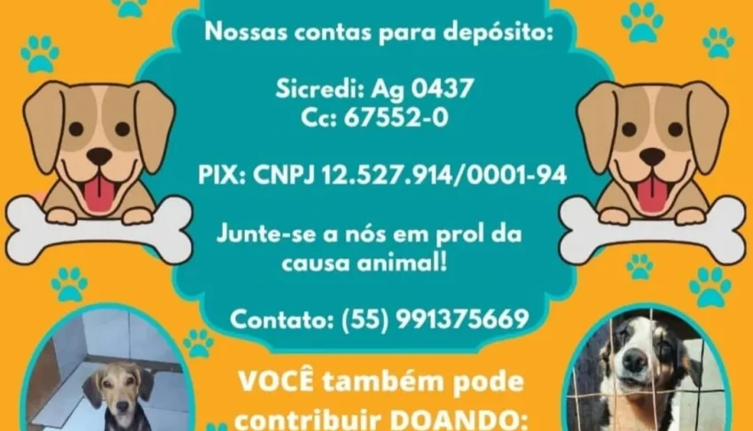Ração para animais abandonados