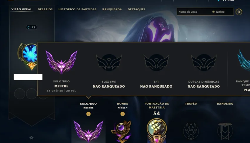 Mestre com 45 Champs e 10 Skins