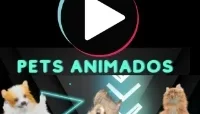 Videos E Audios Para Anúncios De Pets Animados