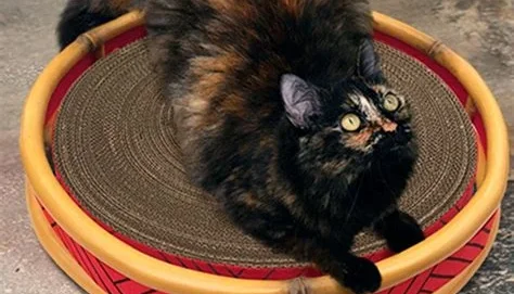 Cama para Gato Artesanal