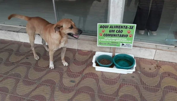 Ajuda para ração e remedio para carrapato