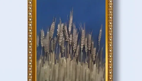 Quadro Trigo Dourado 3D