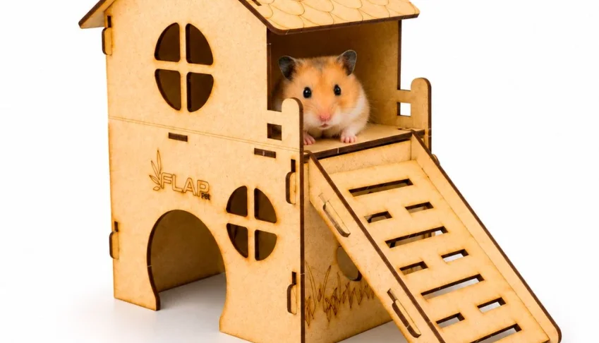 Casinha Loft 2 Andares para Hamster - Flap Pet