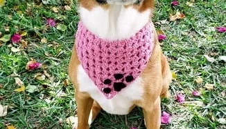 Bandana Pet em Crochê