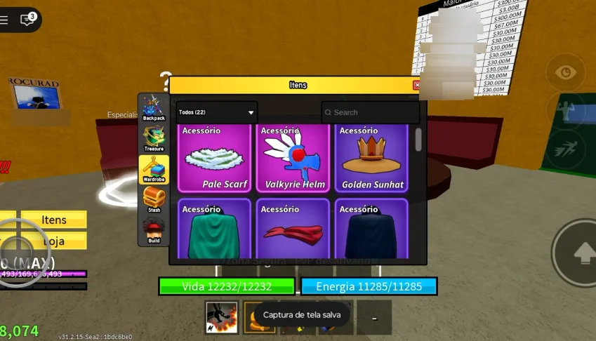 Conta exclusiva de blox fruits