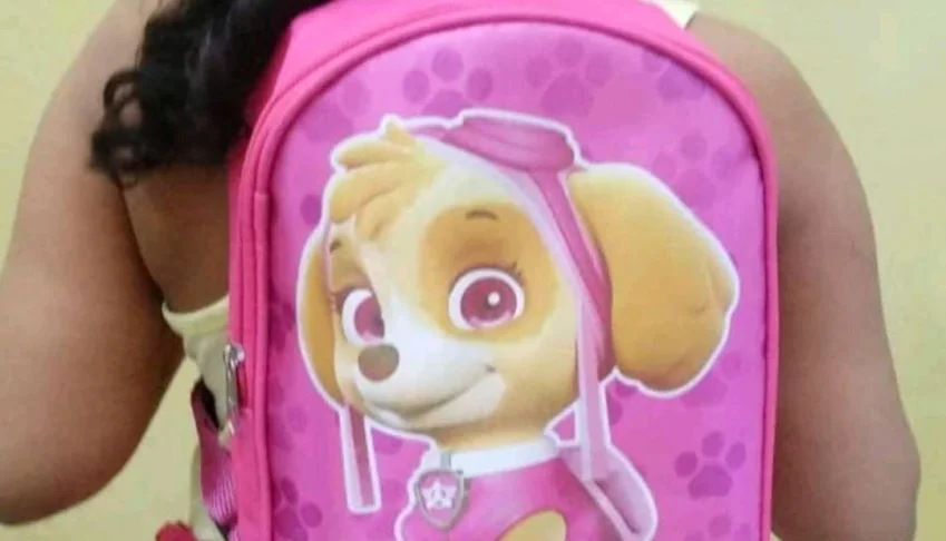 Lancheira Patrulha Canina Personalizada