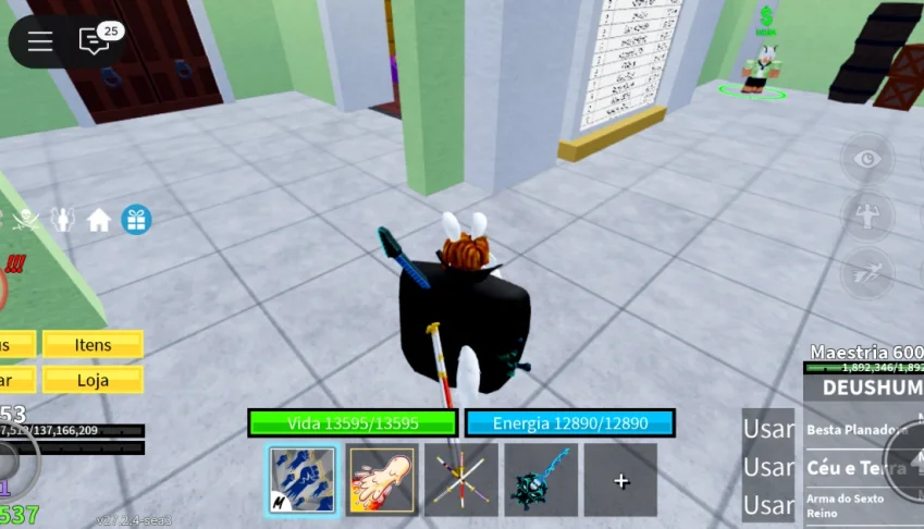 Conta De Blox Fruits